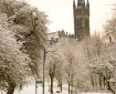 大学塔楼在雪地里