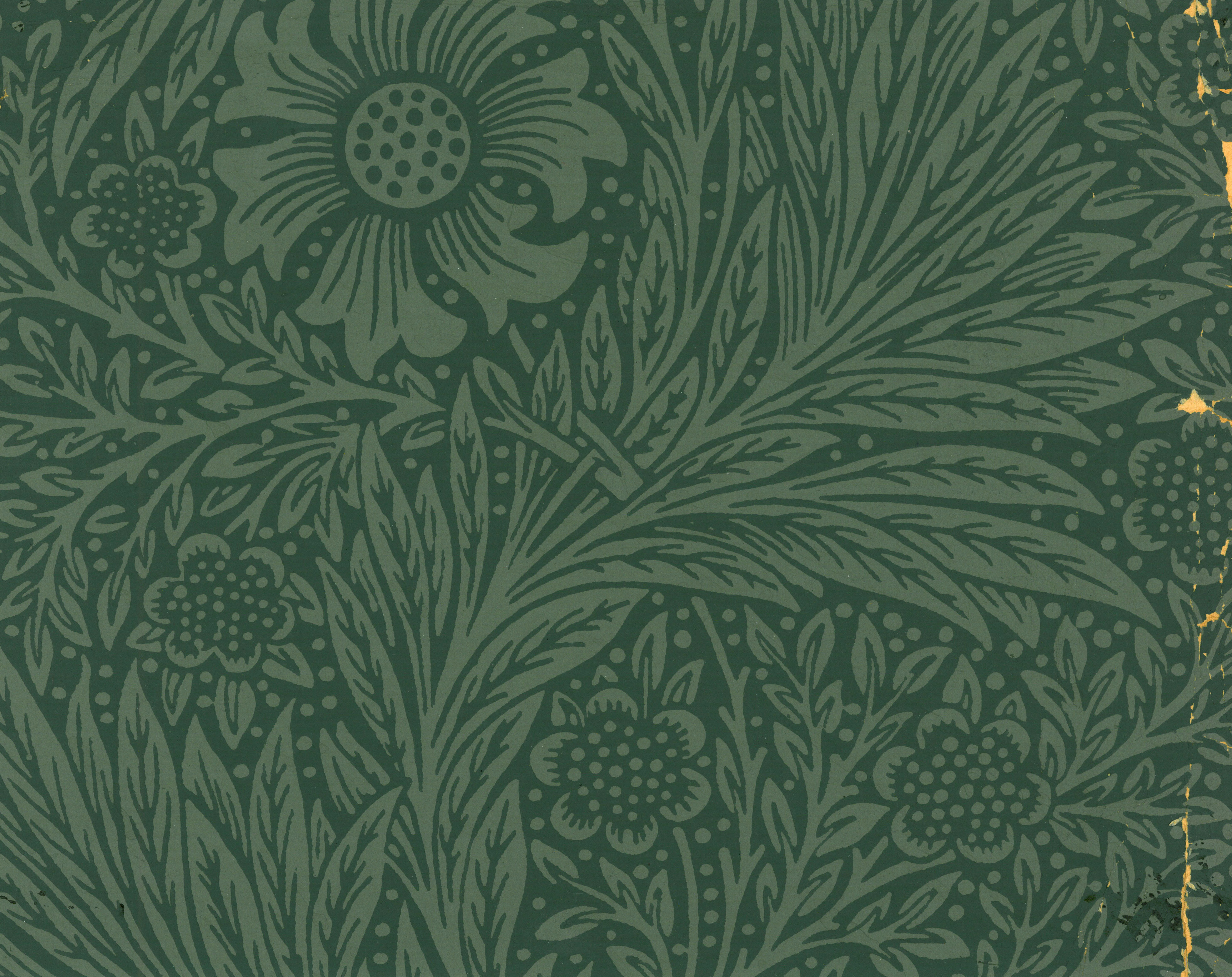 Sanderson Etchings & Roses Wallpaper, DOSW217052