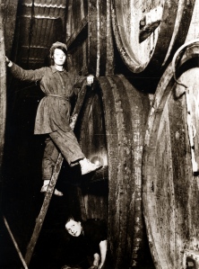 桶洗，1916 (Ref T14)Tennent Caledonian Breweries Ltd, brewers, Glasgow。