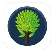 Librarytree on Apple image