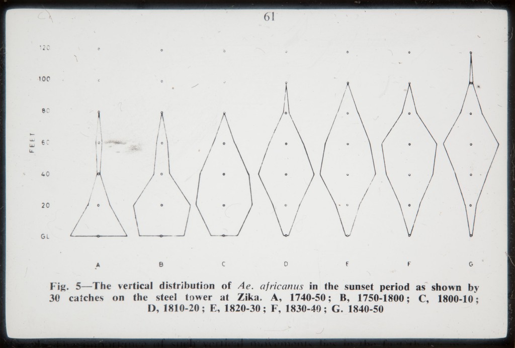 Haddow的研究幻灯片之一，蚊子分布图（DC68 / 80/22）