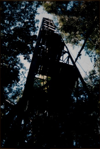 兹卡森林中哈多的铁塔(DC68/80/62)