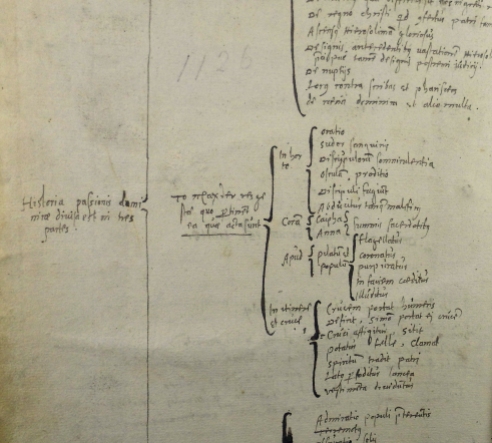 Bracketed "Ramus-tree" style marginalia concerning the Passion. In Knox's hand? (Sp Coll Euing Dr-b.5)